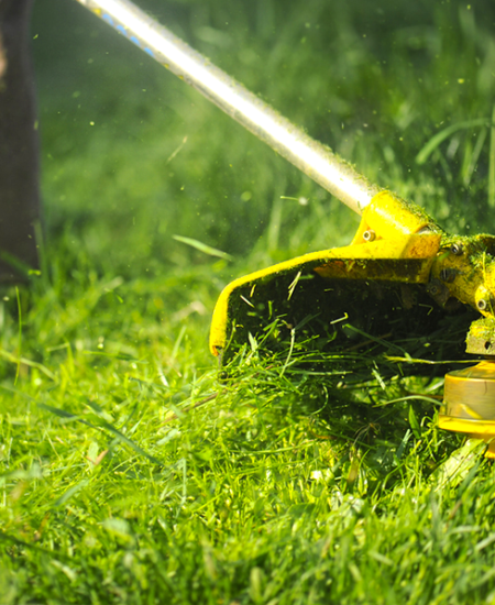 weed-whacking-2-800-x-598px